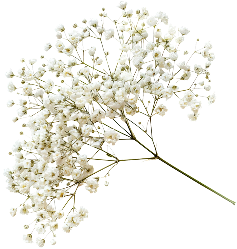 White baby's breath arrangement for the RSVP section of The Modern Invite Romantic Garden digital wedding invitation